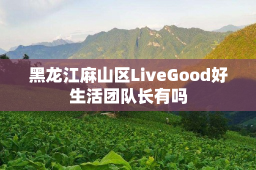 黑龙江麻山区LiveGood好生活团队长有吗