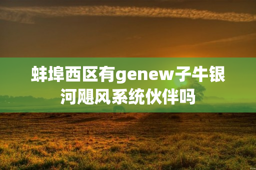 蚌埠西区有genew子牛银河飓风系统伙伴吗