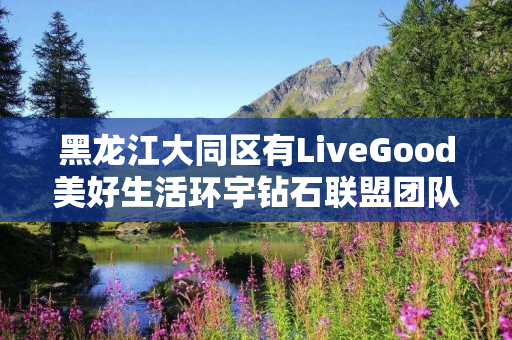 黑龙江大同区有LiveGood美好生活环宇钻石联盟团队吗