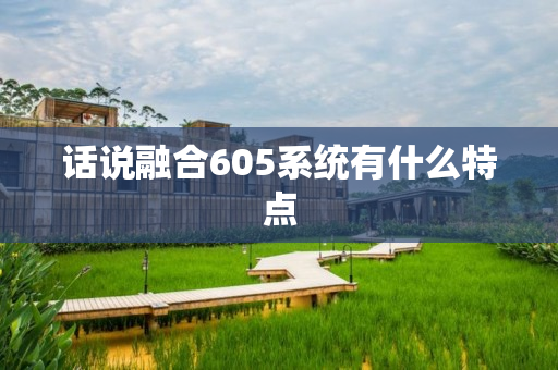 话说融合605系统有什么特点