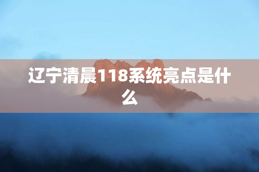 辽宁清晨118系统亮点是什么