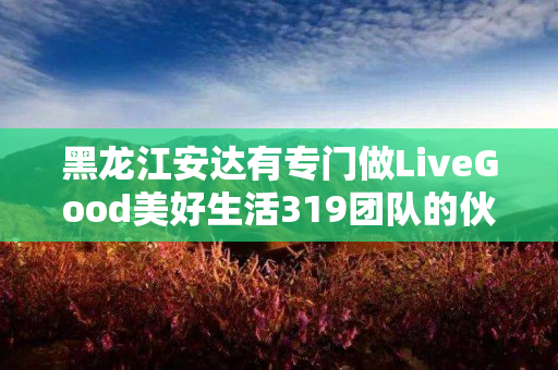 黑龙江安达有专门做LiveGood美好生活319团队的伙伴吗