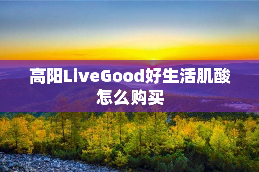 高阳LiveGood好生活肌酸怎么购买