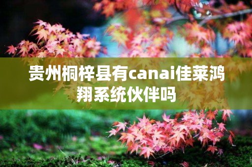 贵州桐梓县有canai佳莱鸿翔系统伙伴吗