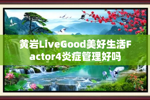 黄岩LiveGood美好生活Factor4炎症管理好吗