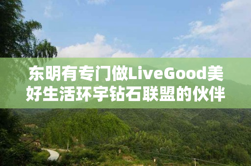 东明有专门做LiveGood美好生活环宇钻石联盟的伙伴吗