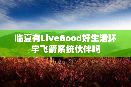 临夏有LiveGood好生活环宇飞箭系统伙伴吗