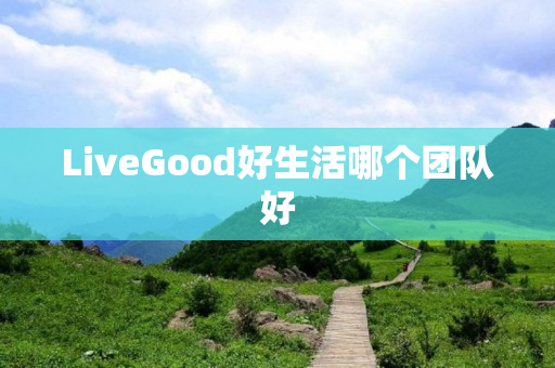 LiveGood好生活哪个团队好