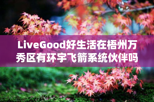 LiveGood好生活在梧州万秀区有环宇飞箭系统伙伴吗