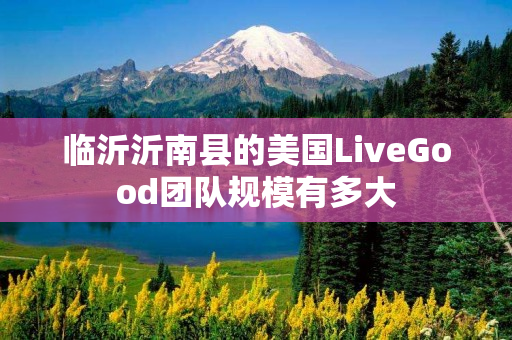 临沂沂南县的美国LiveGood团队规模有多大