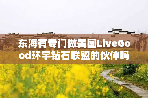 东海有专门做美国LiveGood环宇钻石联盟的伙伴吗