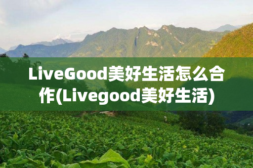 LiveGood美好生活怎么合作(Livegood美好生活)