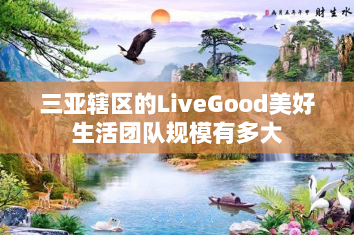 三亚辖区的LiveGood美好生活团队规模有多大