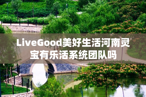 LiveGood美好生活河南灵宝有乐活系统团队吗