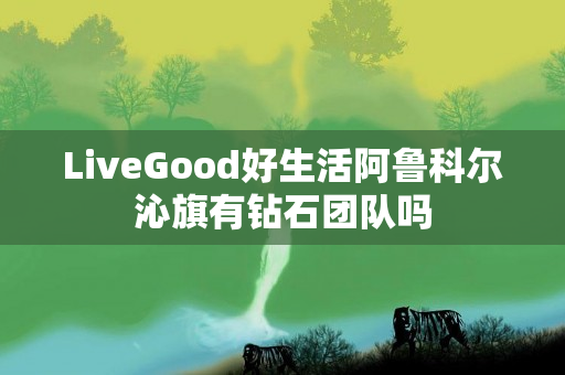 LiveGood好生活阿鲁科尔沁旗有钻石团队吗