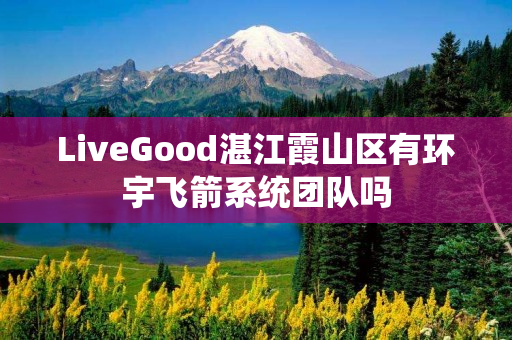 LiveGood湛江霞山区有环宇飞箭系统团队吗