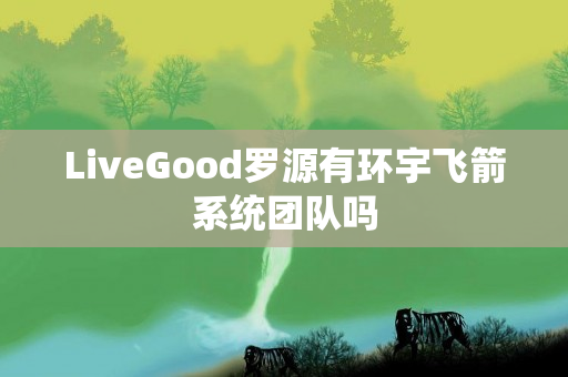 LiveGood罗源有环宇飞箭系统团队吗