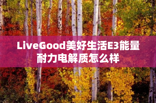 LiveGood美好生活E3能量耐力电解质怎么样