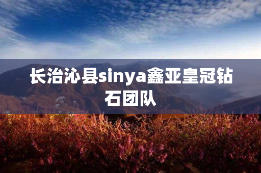 长治沁县sinya鑫亚皇冠钻石团队