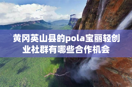 黄冈英山县的pola宝丽轻创业社群有哪些合作机会